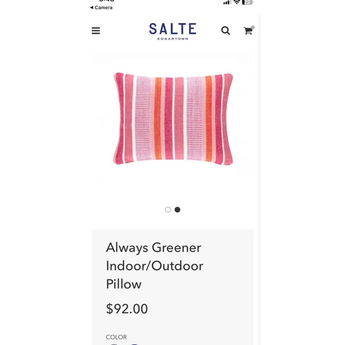 Pink, Orange and White Kit Kemp for Annie Selke pillows